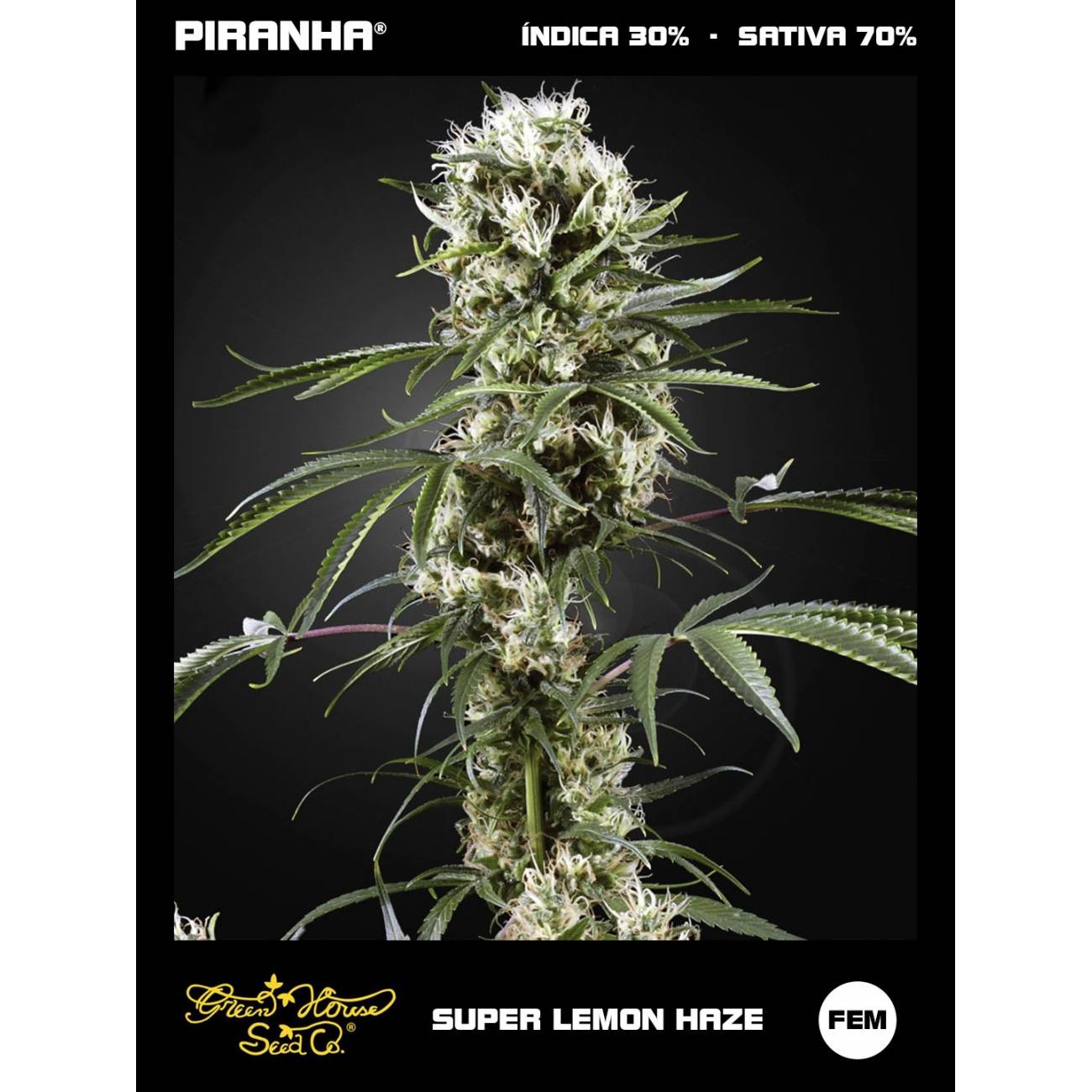 Super Lemon Haze (3u)