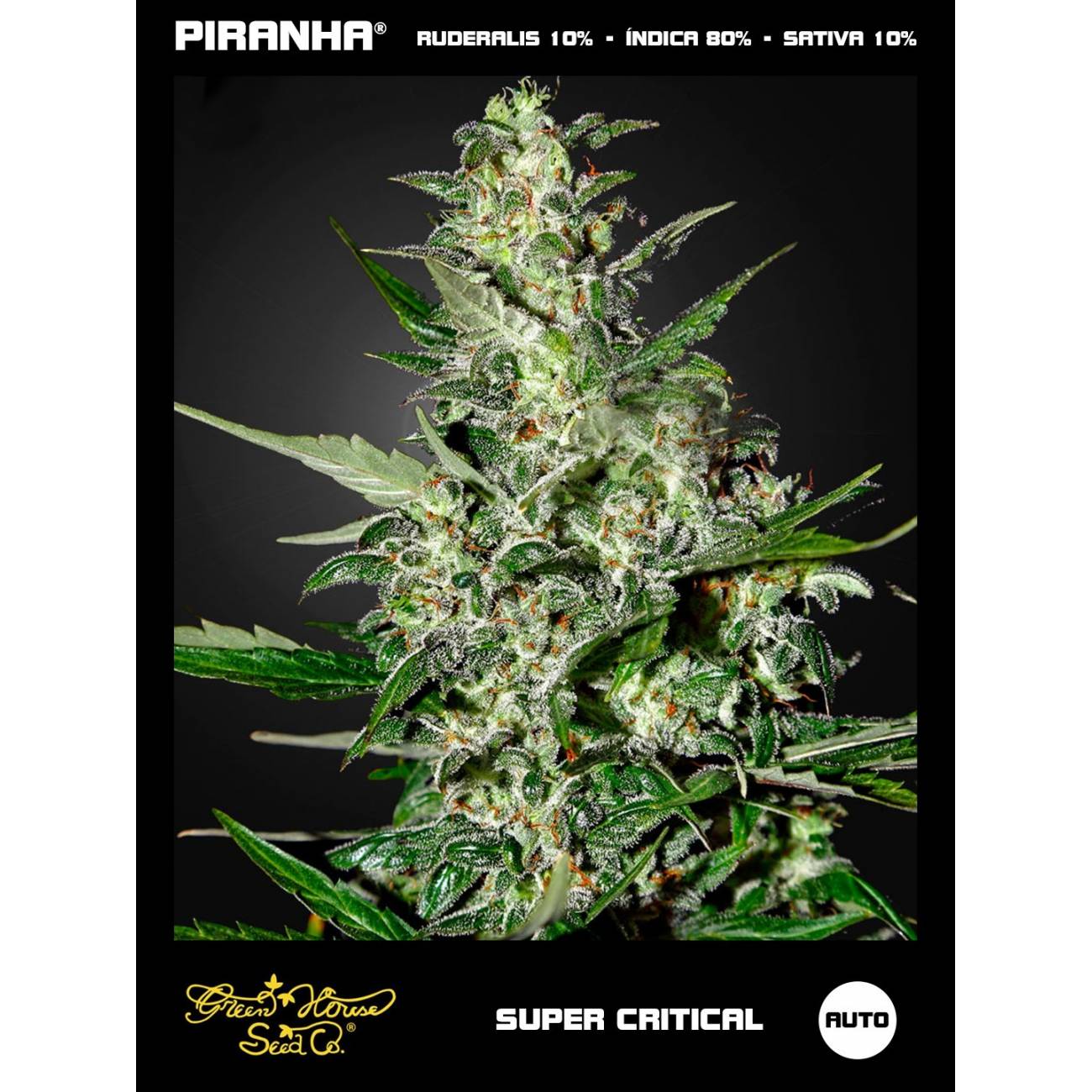 Super Critical Auto (3u)