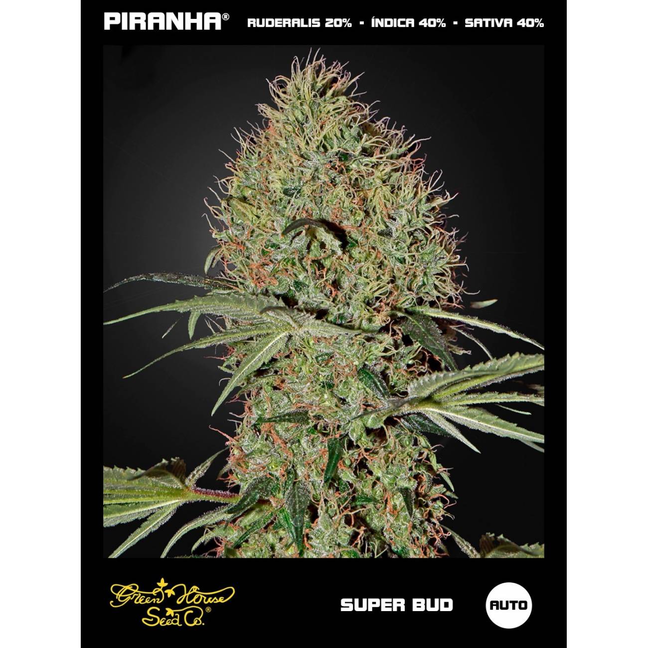 Super Bud Auto (3u)