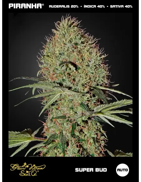Super Bud Auto (3u)