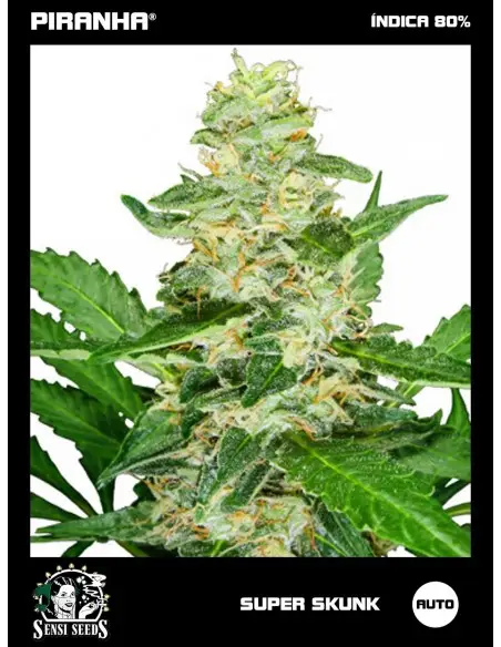 Super Skunk Auto (3u/10u)