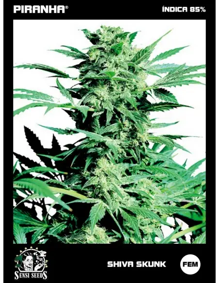 Shiva Skunk (3u)