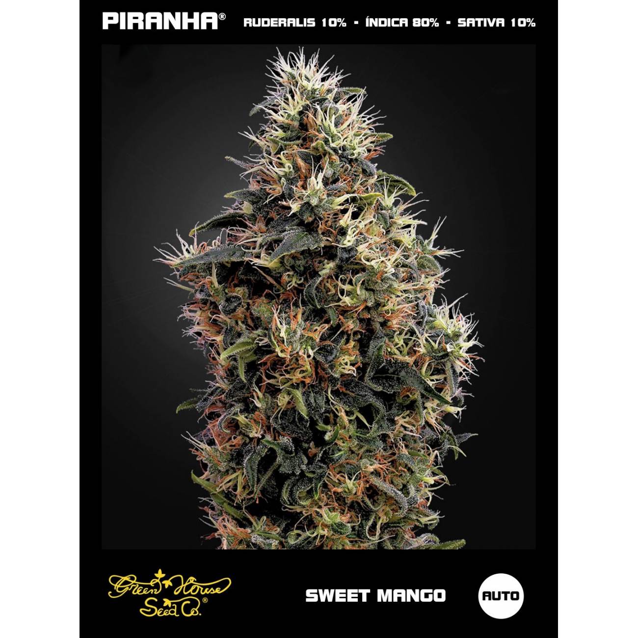 Sweet Mango Auto (3u)