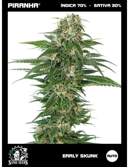 Early Skunk Auto (3u)