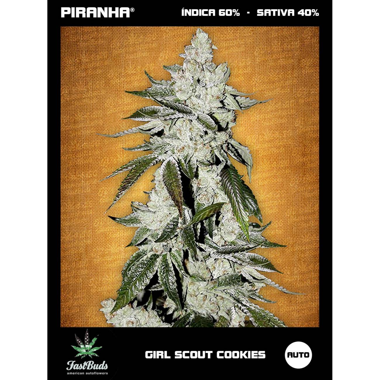 Girl Scout Cookies Auto (Cookies...