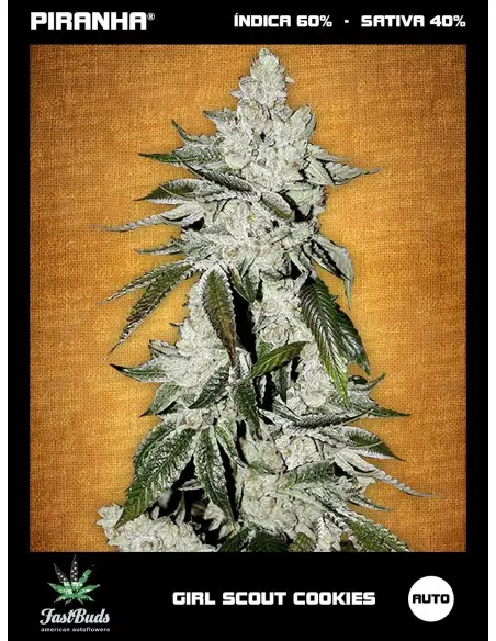 Girl Scout Cookies Auto...