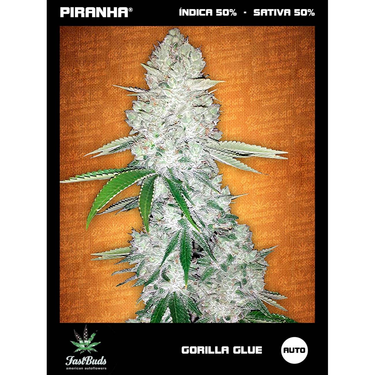 Gorilla Glue Auto (Glue Auto)...