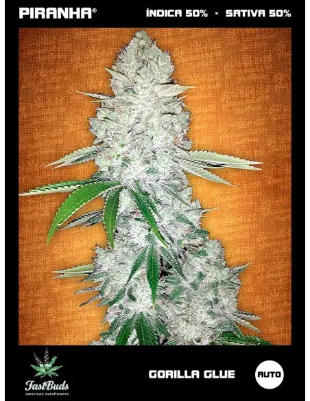 Gorilla Glue Auto (Glue...