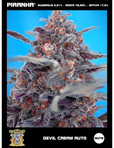 Devil Cream Auto (3+1u)