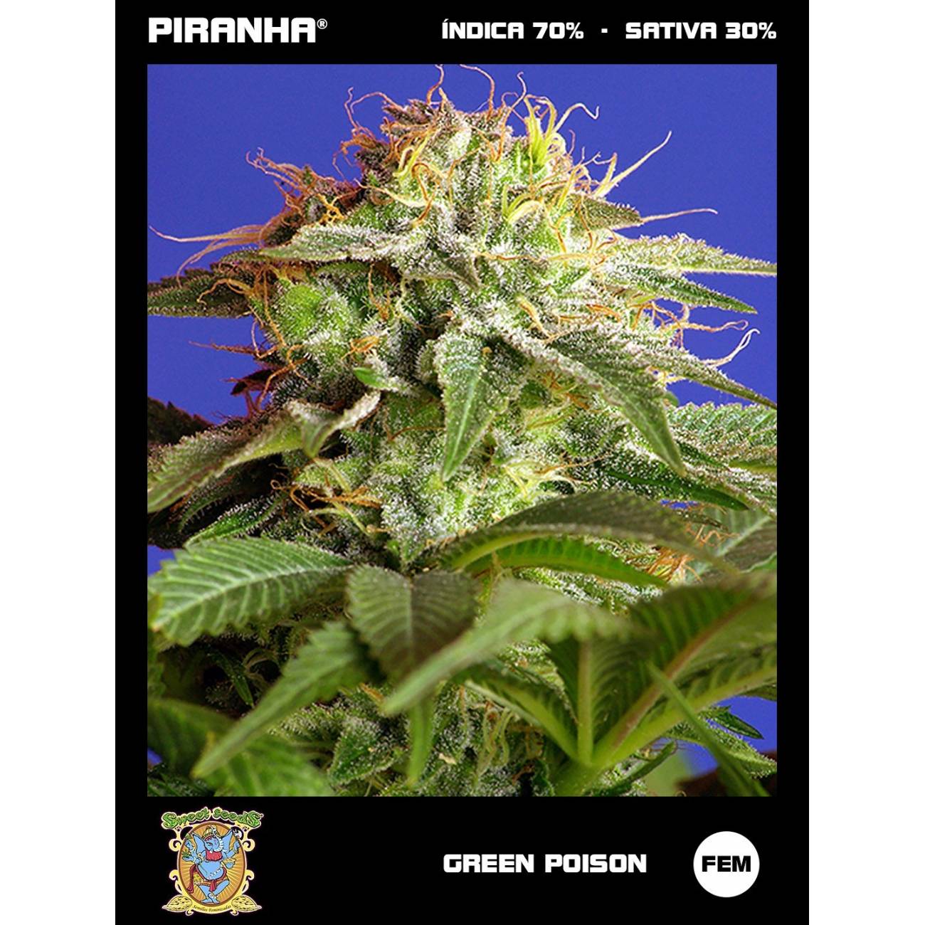 Green Poison (3+1u)