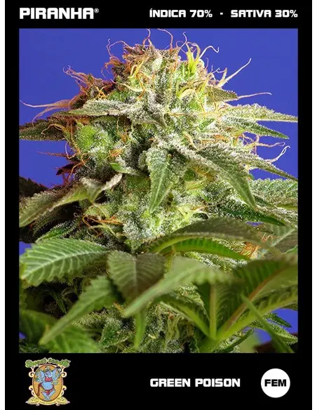 Green Poison (3+1u)
