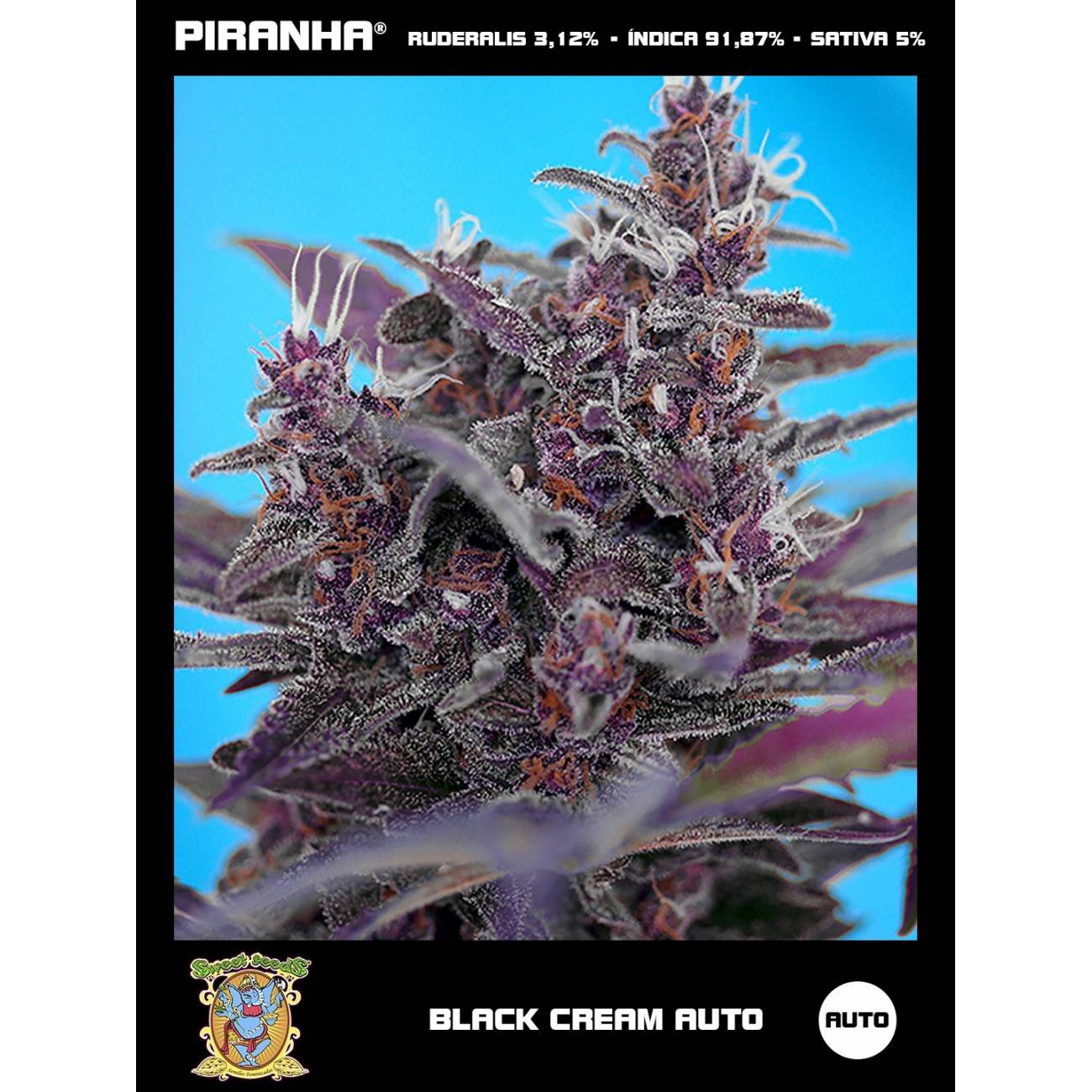 Black Cream Auto (3+1u)