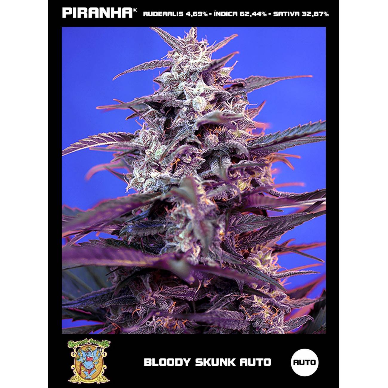 Bloody Skunk Auto (3+1u)