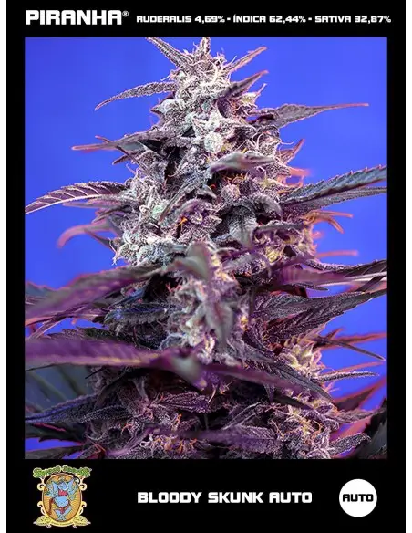 Bloody Skunk Auto (3+1u)