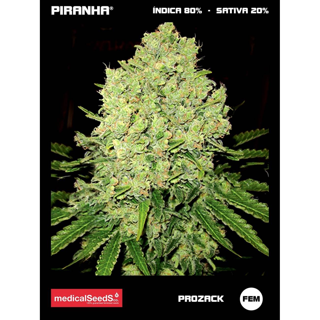 Prozack (3+2u)