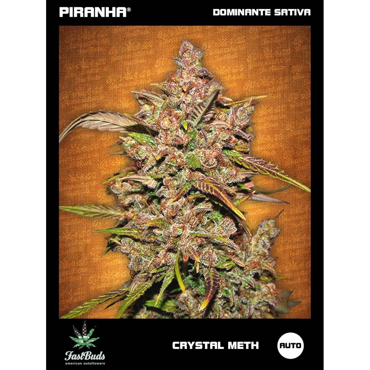 Crystal Meth Auto (1u/3+1u/5+2u)