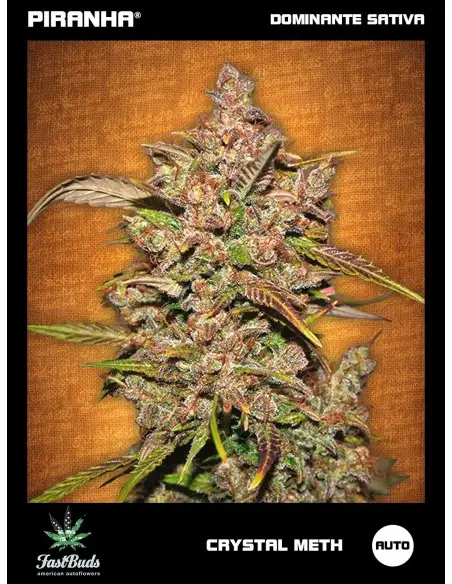 Crystal Meth Auto...