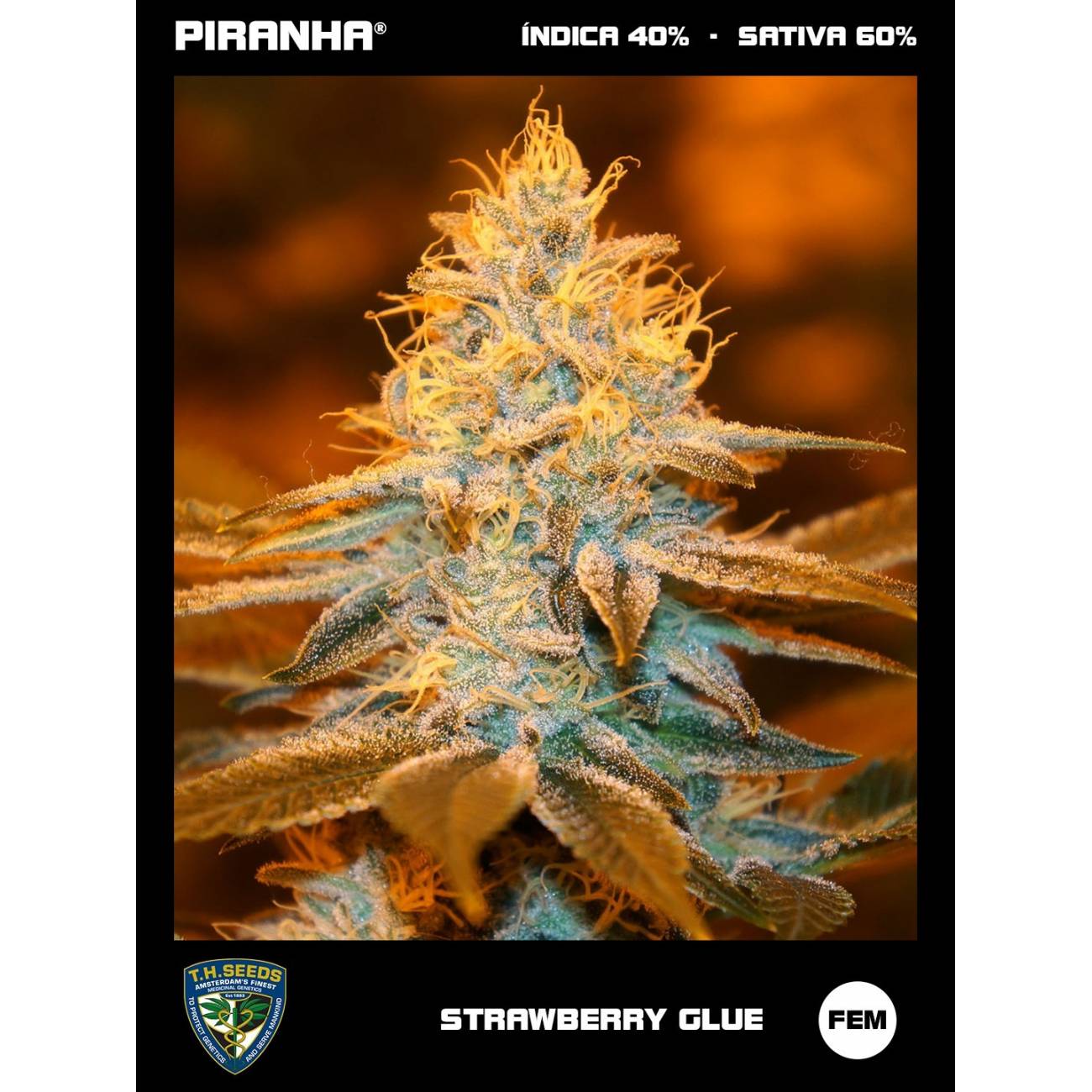 Strawberry Glue (2u)
