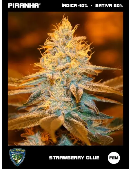 Strawberry Glue (2u)