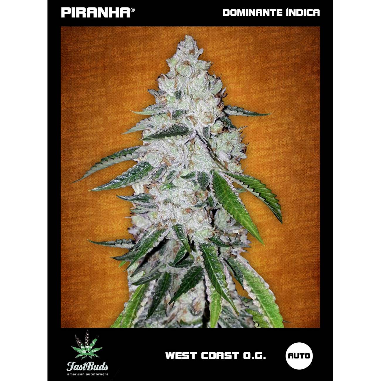 West Coast O.G. Auto (1u/3+1u/5+2u)