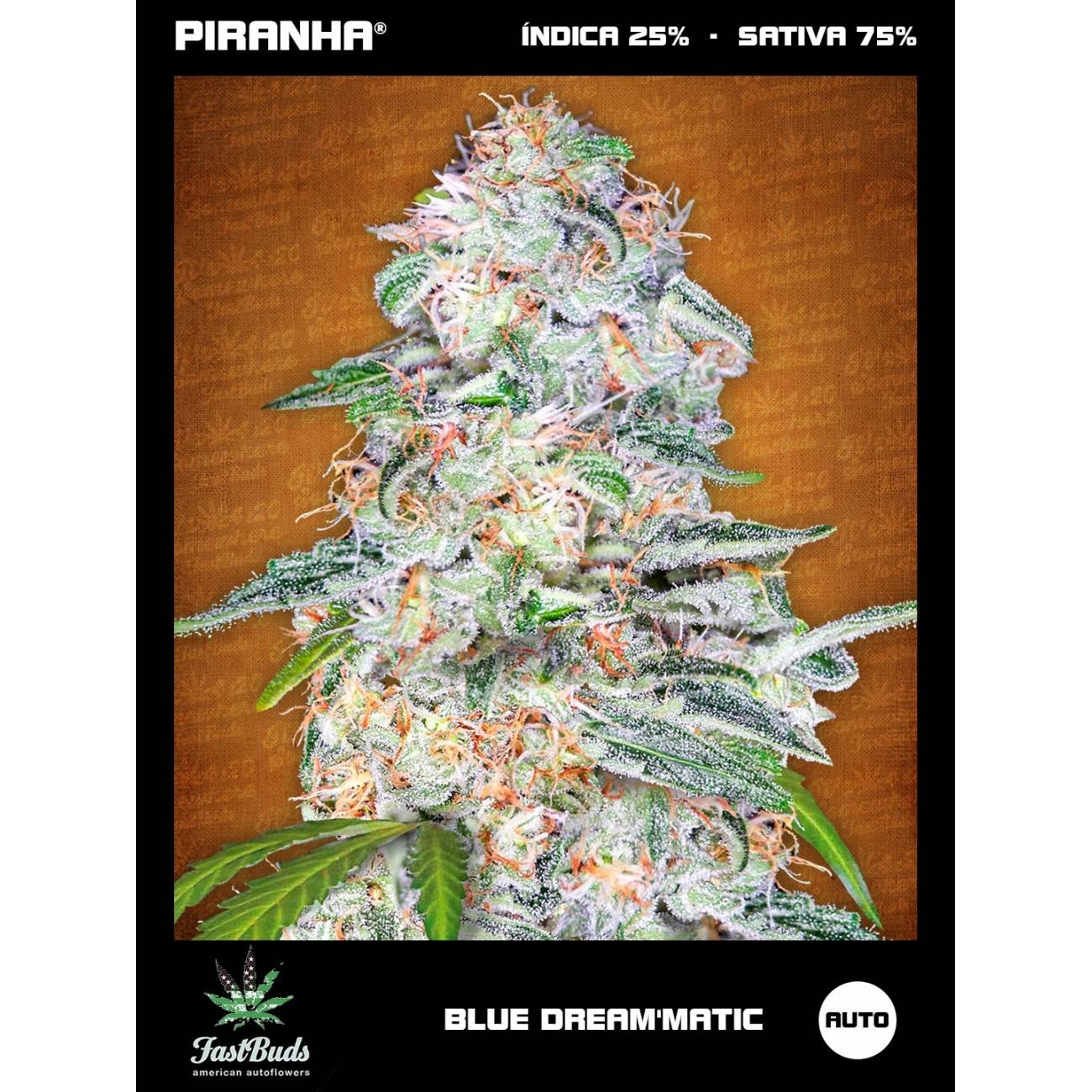 Blue Dream'matic Auto (1u/3+1u/5+2u)