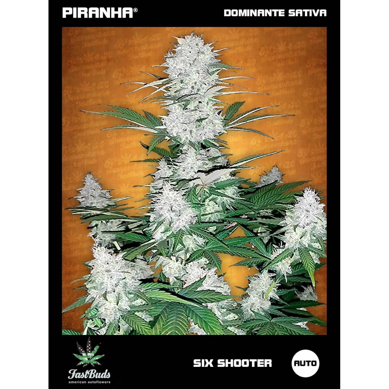 Six Shooter Auto (1u/3+1u)