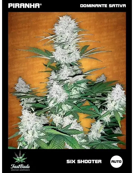 Six Shooter Auto (1u/3+1u)