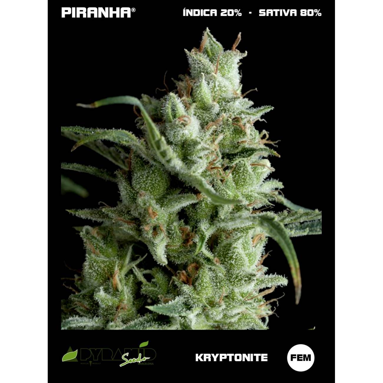 Kryptonite (3+1u/5+2u)