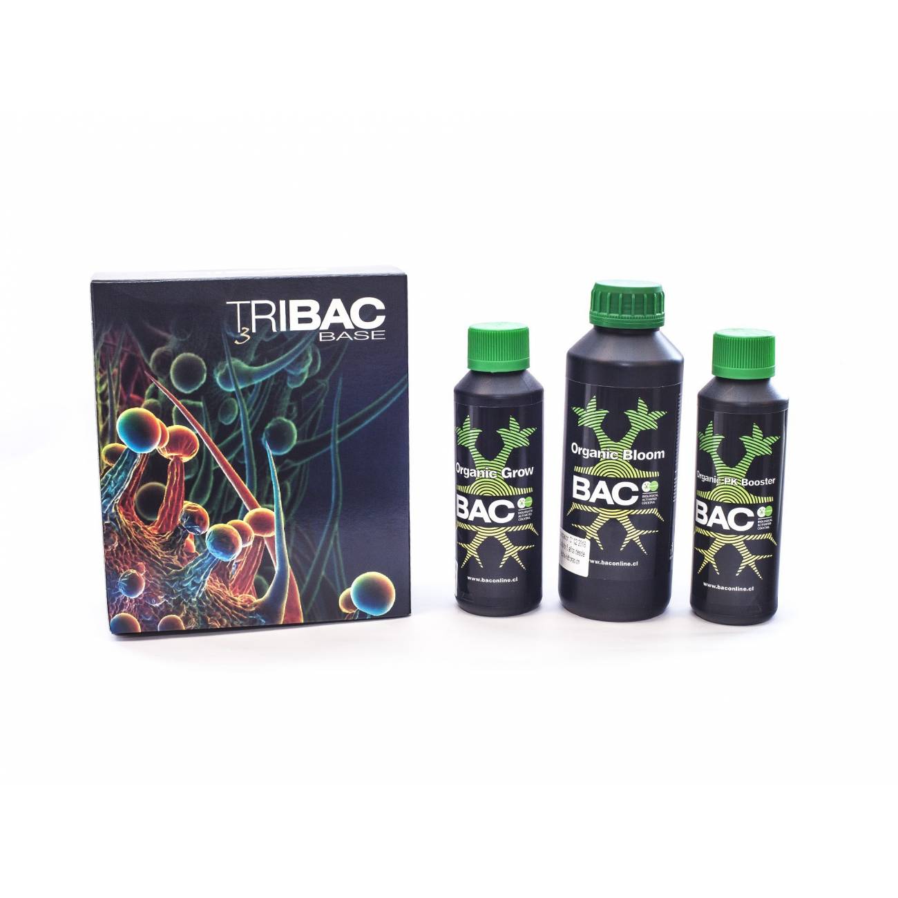 TriBAC