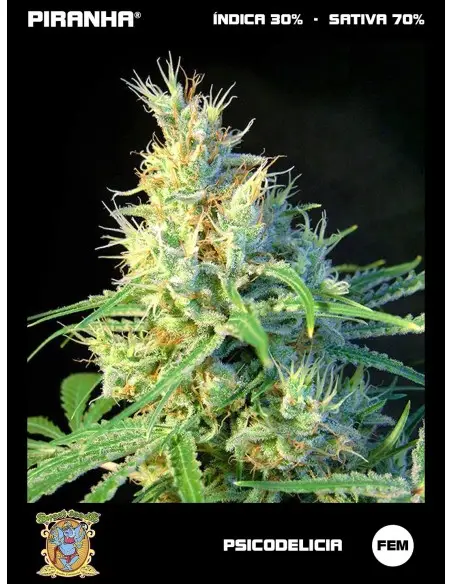 Psicodelicia (3+1u)