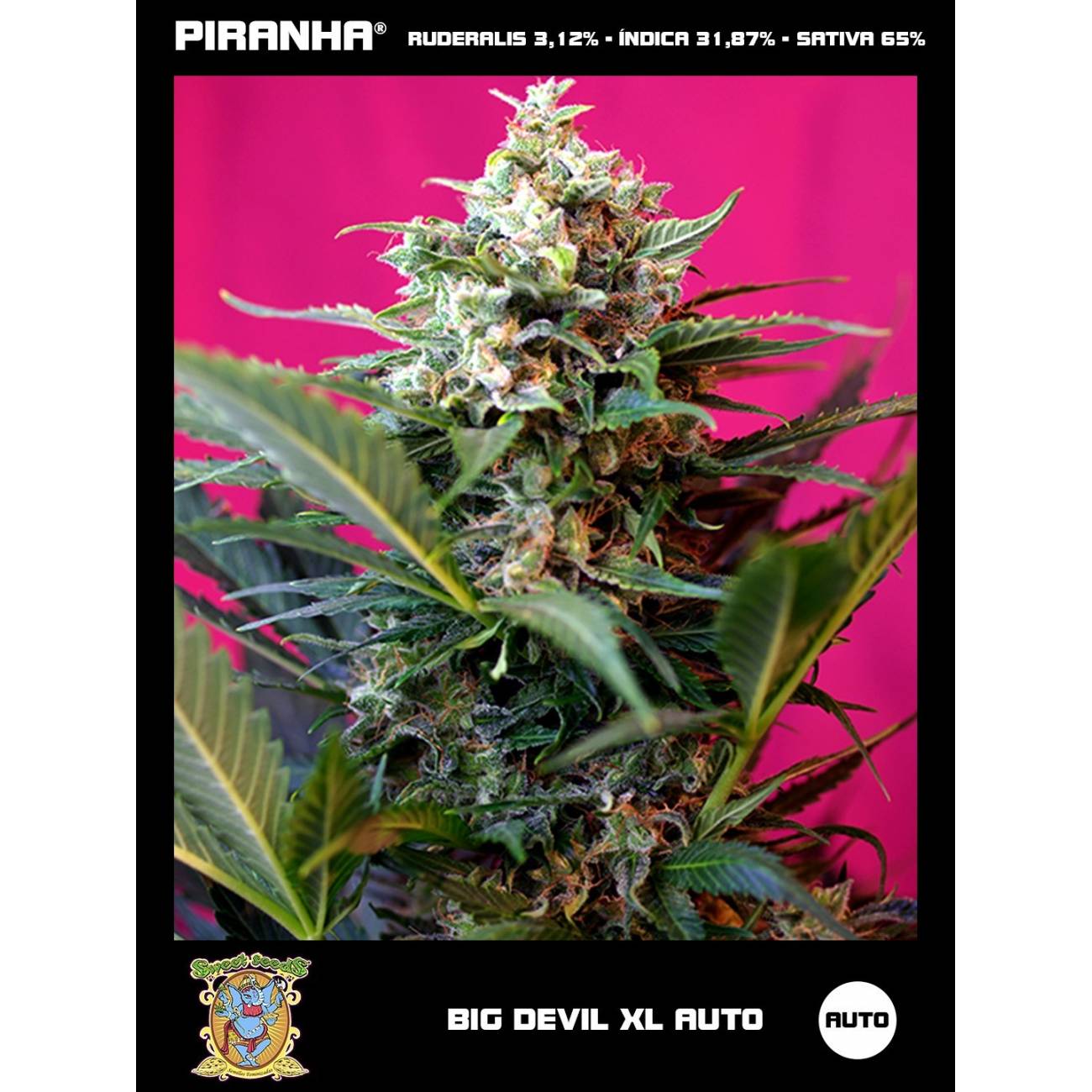 Big Devil XL Auto (3+1u)