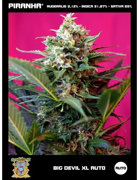Big Devil XL Auto (3+1u)