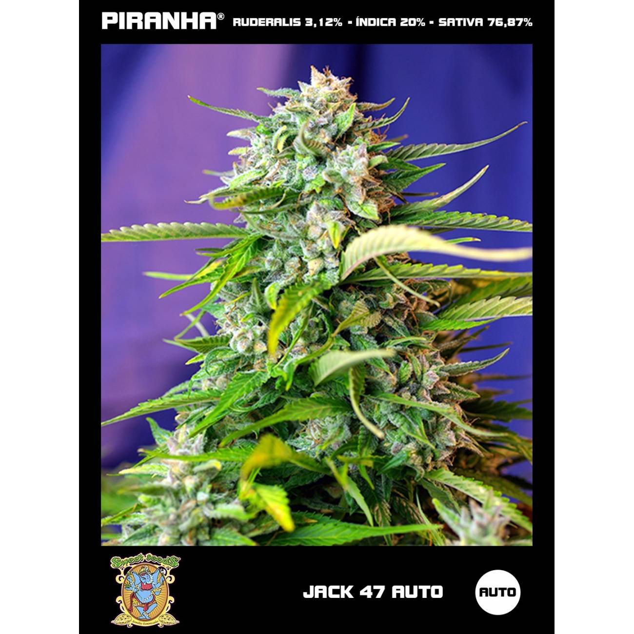 Jack 47 Auto (3+1u)