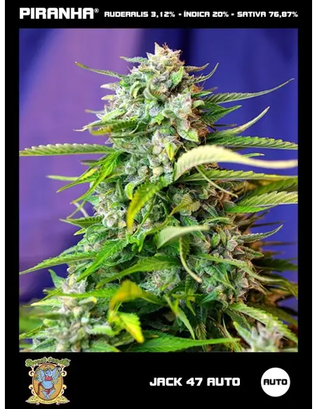 Jack 47 Auto (3+1u)