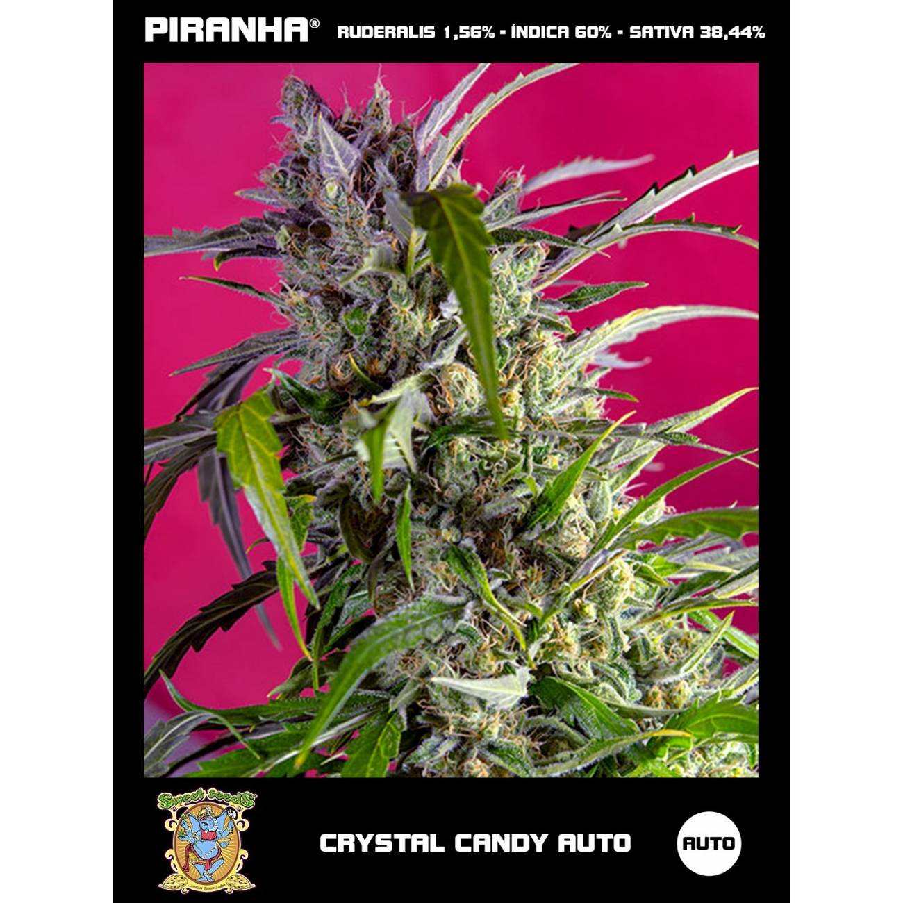 Crystal Candy Auto (3+1u)