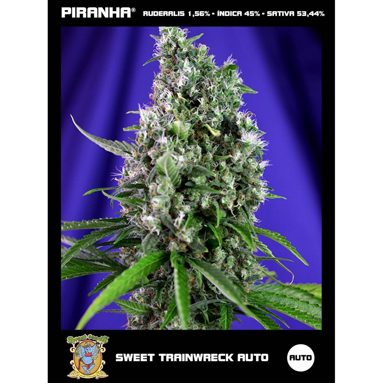 Sweet Trainwreck Auto (3+1u)