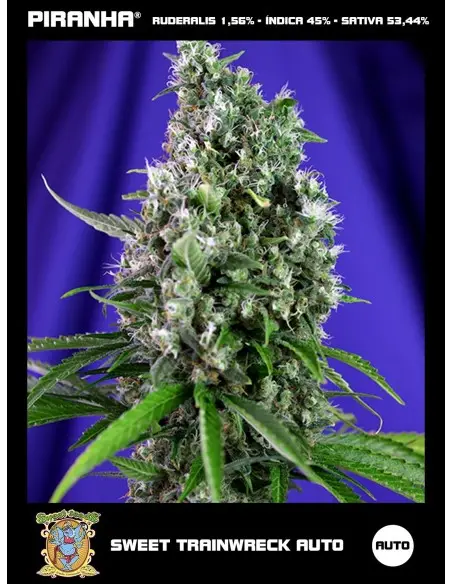 Sweet Trainwreck Auto (3+1u)