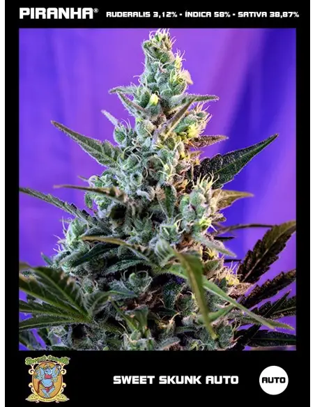 Sweet Skunk Auto (3+1u)