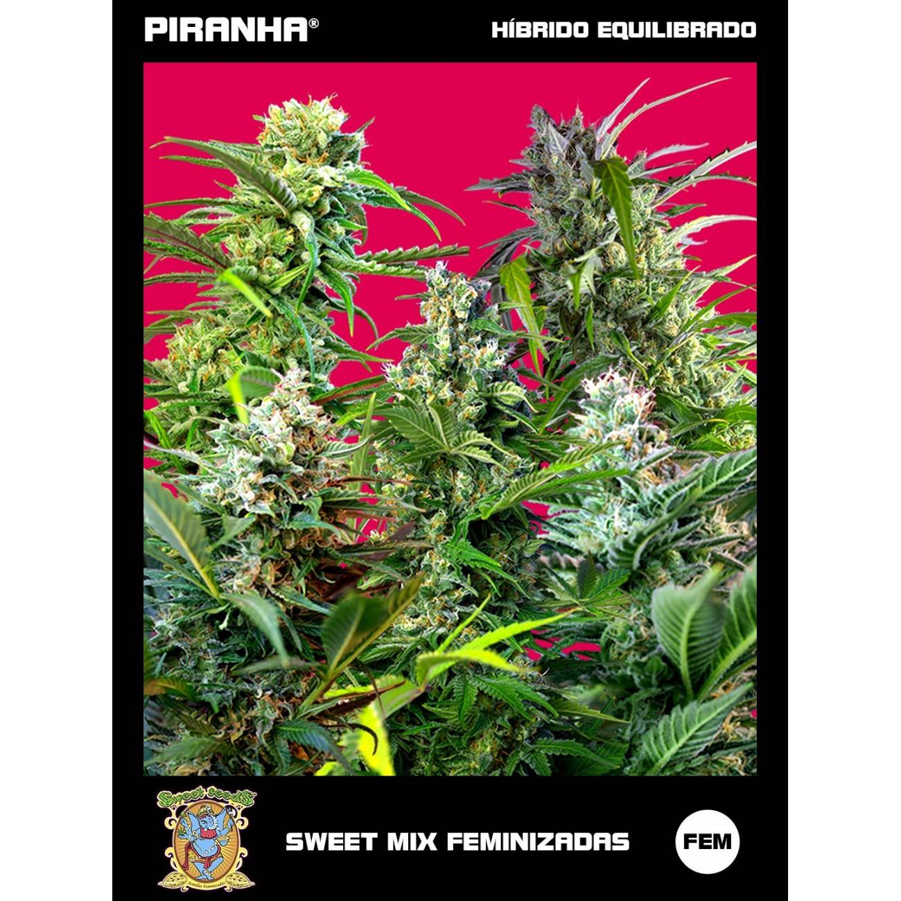 Sweet Mix Fem (10u)