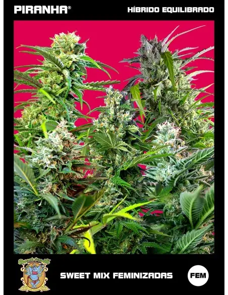 Sweet Mix Fem (10u)