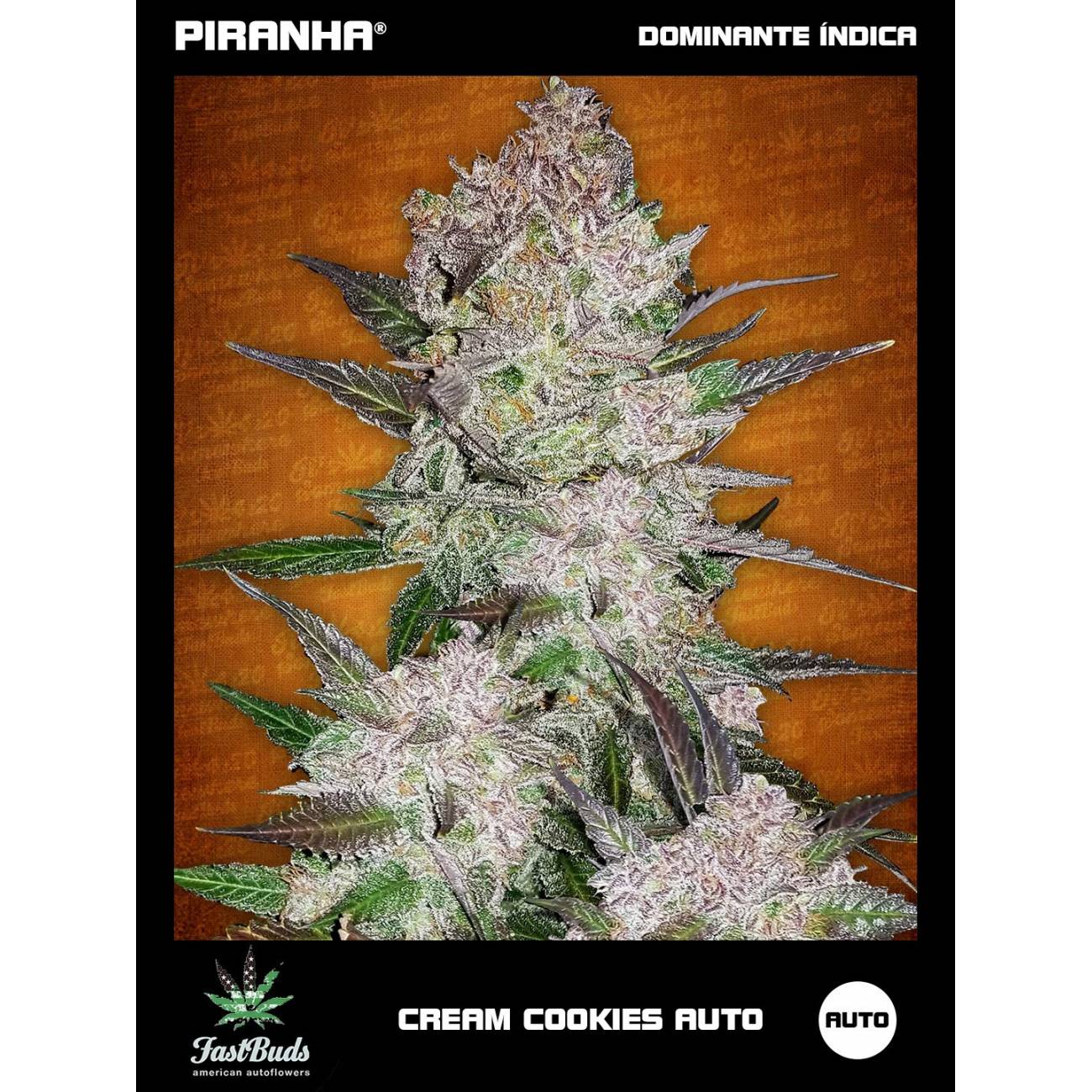 Cream Cookies Auto (1u/3+1u/5+2u)