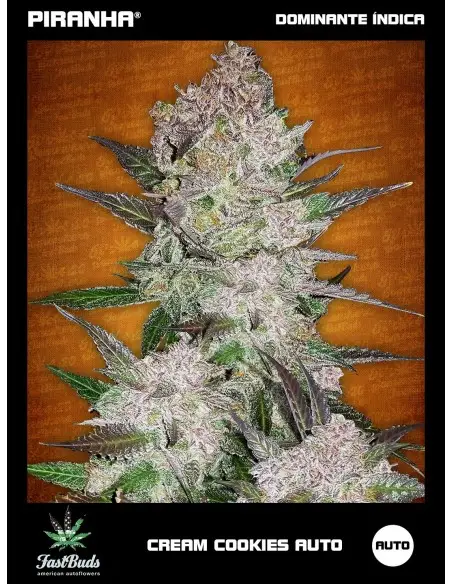 Cream Cookies Auto...