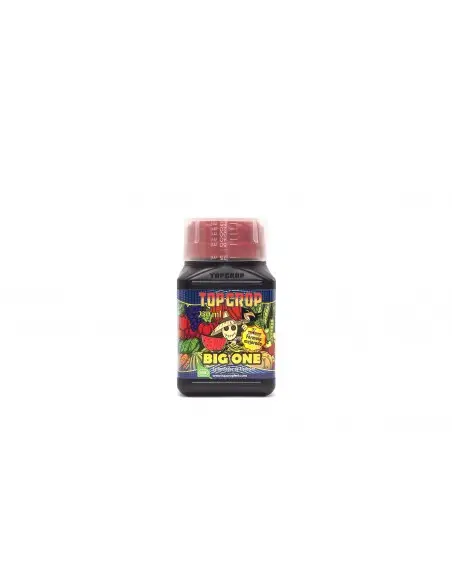 Big One 250mL
