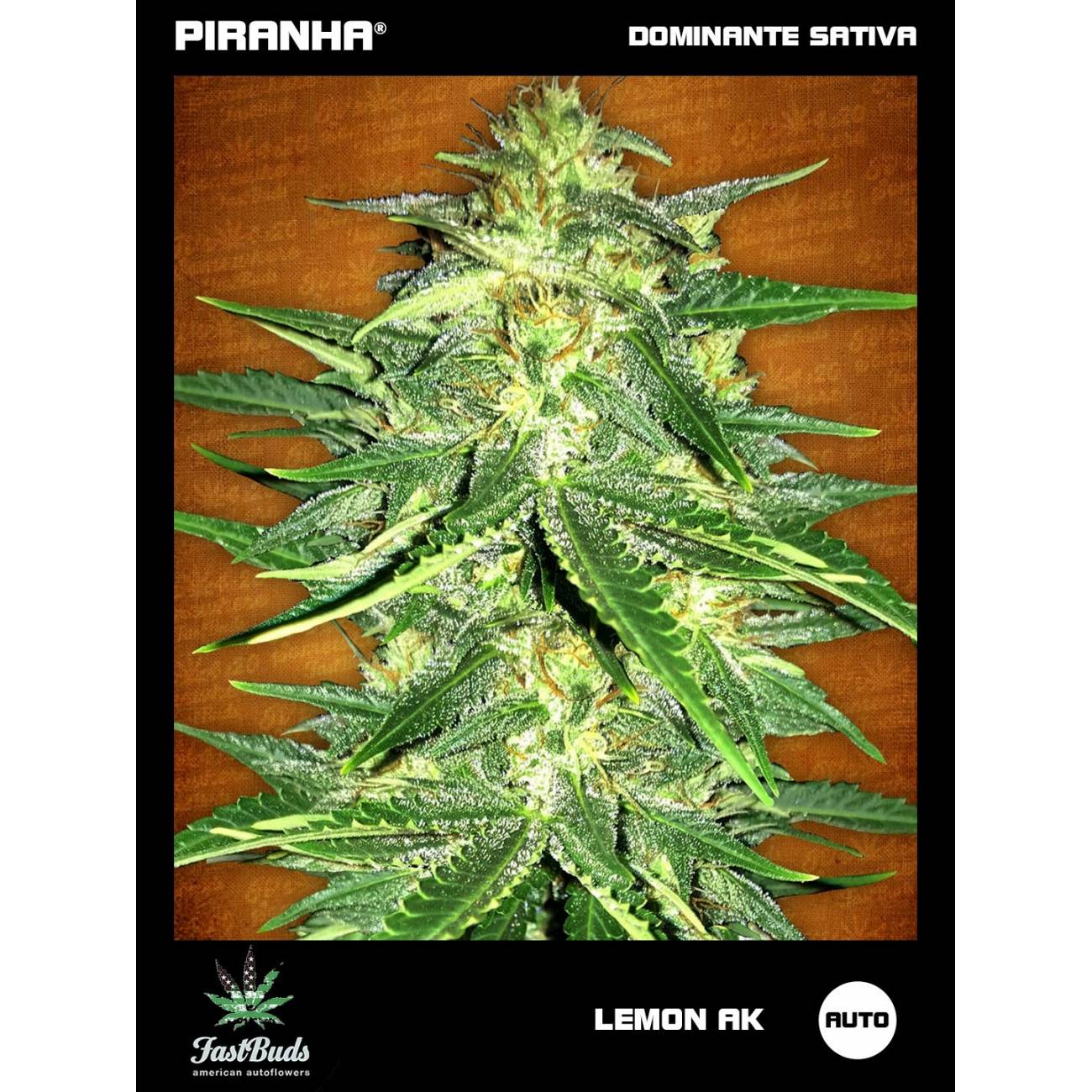 Lemon AK Auto (1u/3+1u/5+2u)