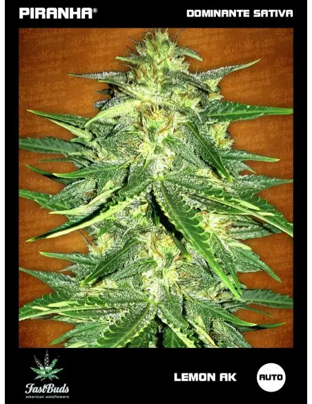 Lemon AK Auto (1u/3+1u/5+2u)