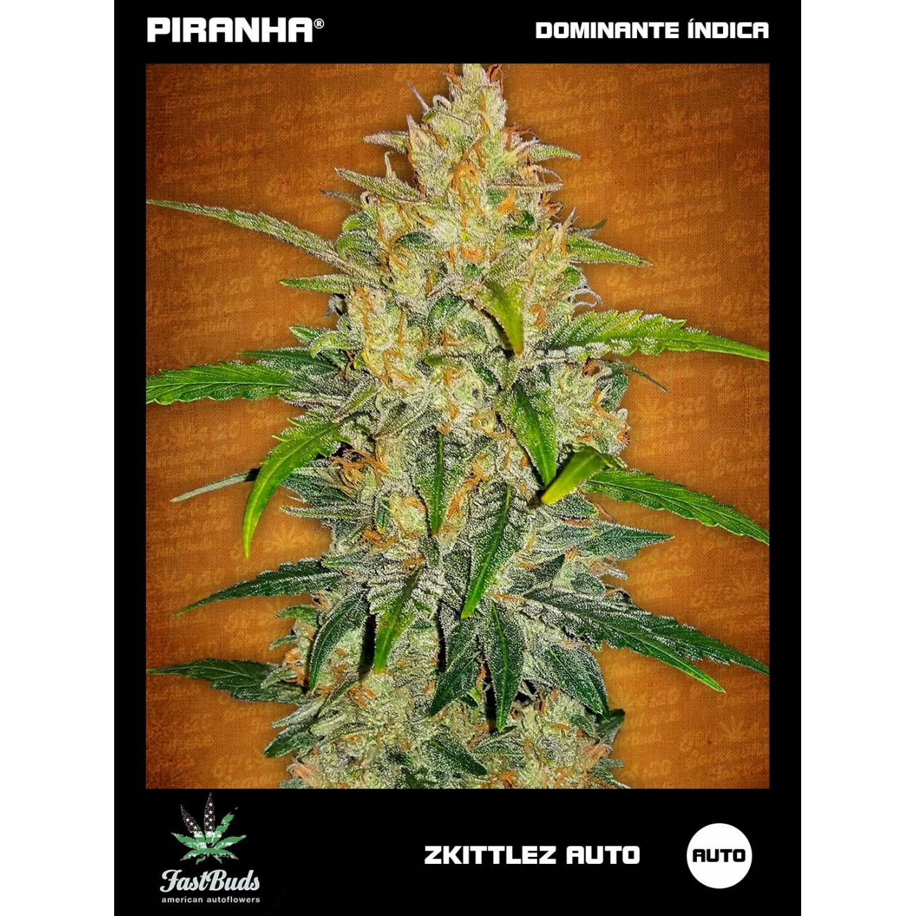 Zkittlez Auto (1u/3+1u/5+2u)