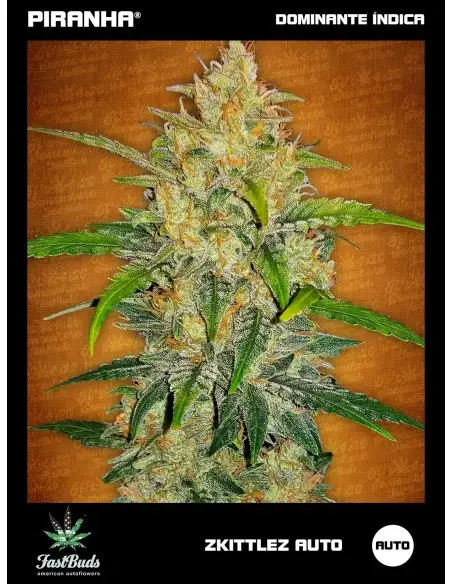 Zkittlez Auto (1u/3+1u/5+2u)