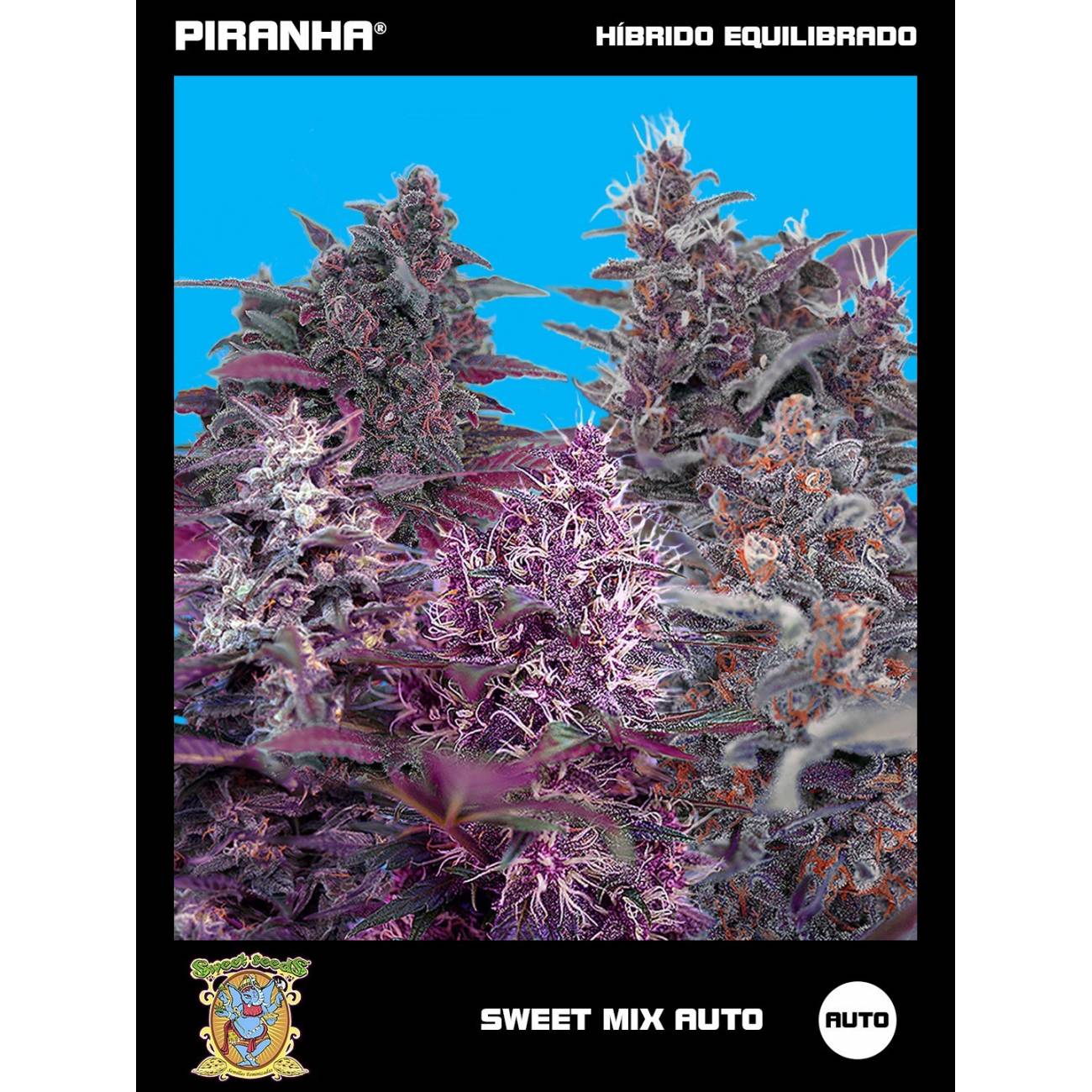 Sweet Mix Auto (10u)