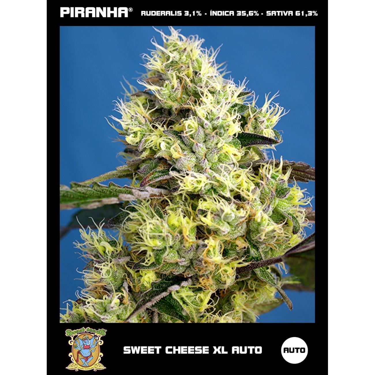 Sweet Cheese XL Auto (3+1u)