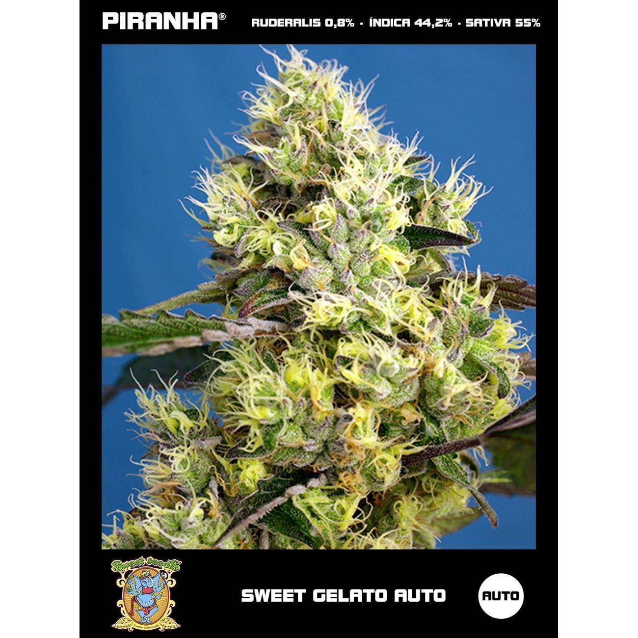 Sweet Gelato Auto (3+1u)